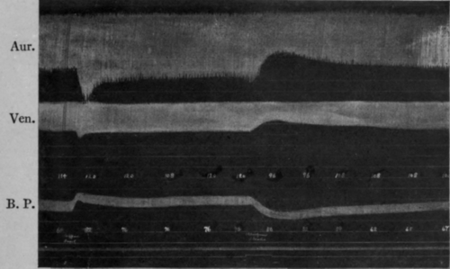 Fig. 33.