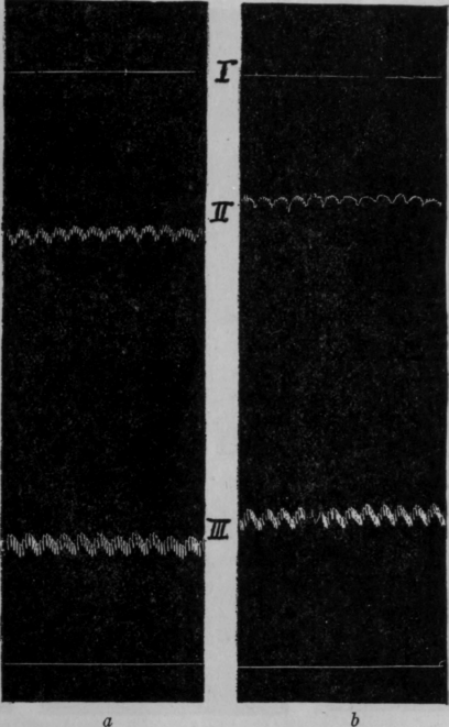 Fig. 34.