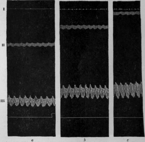 Fig. 35.