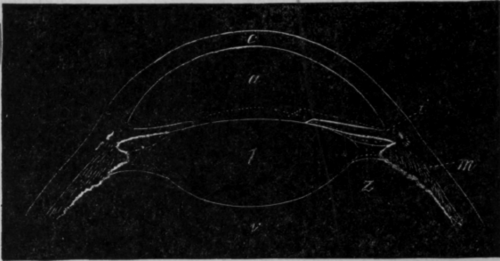 Fig. 50.