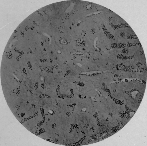 Fig. 68.