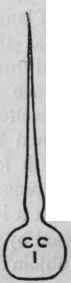 Ampoules 656