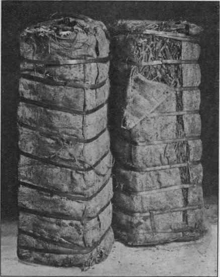 Fig. 163. Compressed bales of natural (unpeeled)