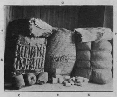 Fig. 2.   Original packages of drugs (Weigel). a and f, seron of Calisaya bark; b, Honduras sarsaparilla; c, dragon's blood; d, compressed lobelia; e, galangal root; G, euphorbium.