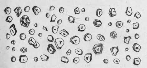 Fig. 220.   Maize Starch. Magnified 300 diam. (Tschirch.)