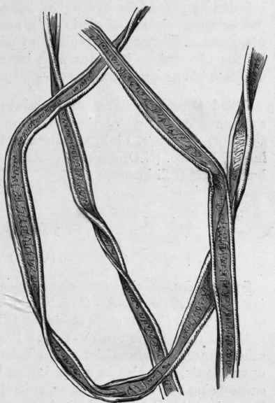 Fig. 231.   Cotton. Magnified. (Tschirch.)