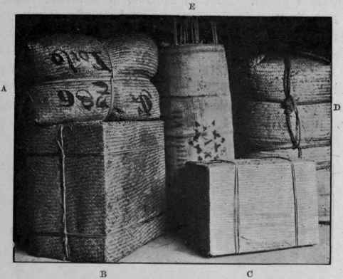 Fig. 3.   Original packages of drugs (Weigel). a, small cassia bark; b, cassia bark in bundles; c, cassia buds; D, Zanzibar cloves; e, cinnamon bark.