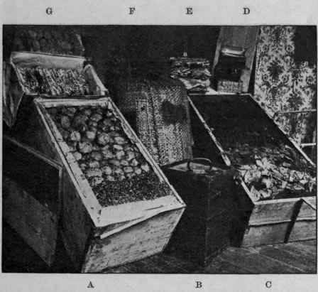 Fig. 4.   Original packages of drugs (Weigel). a, Turkey opium; b, balsam of Peru; c, stick liquorice; d, musk; E, isinglass; f, lycopodium; G, vanilla.
