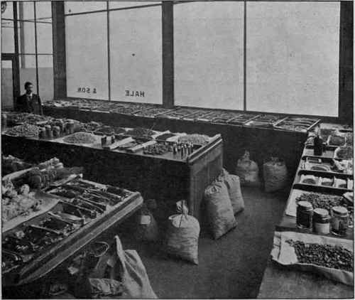 Fig. 9.   Sale room of Messrs. Hale & Son. On the centre and window tables various drugs; on the table to the left chiefly bristles; on the floor sample bags of drugs. (Heap.)