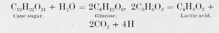 Butyric Acid