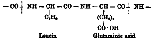 Absorption Assimilation Processes Of Metabolism 5