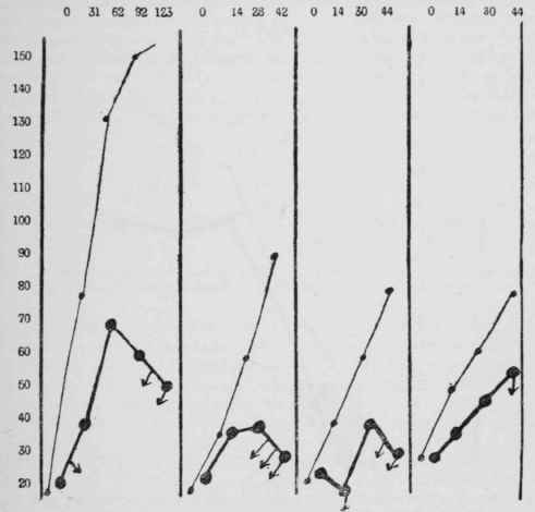 The influence of a horse flesh diet on very young rats newly weaned.