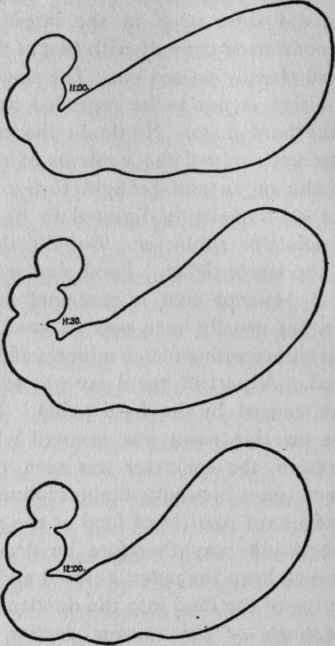3 Activity Of The Cardiac Portion Of The Stomach 10
