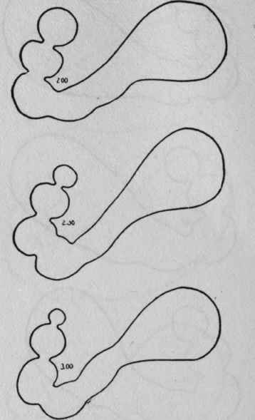3 Activity Of The Cardiac Portion Of The Stomach 12