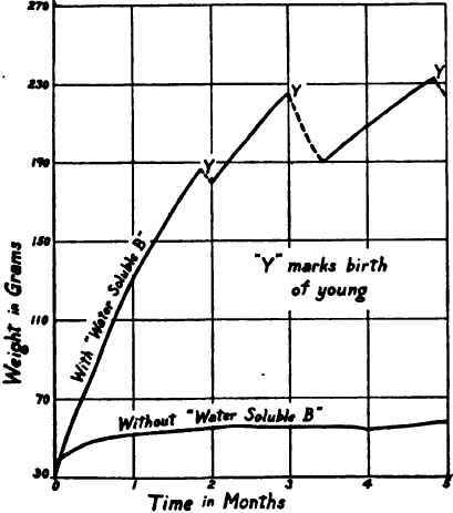 Effect upon growth of adding water soluble B to an otherwise adequate diet.