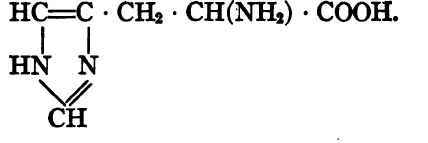 Histidine, α amino ß imidazol propionic acid.