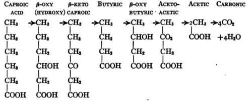 Oxidation Of Fat 31