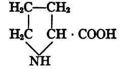 Proline, pyrrolidin carboxylic acid.