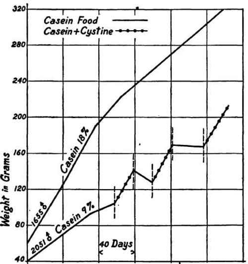 Showing that the insufficiency of a low casein diet was essentially due to its relative deficiency in cystine.