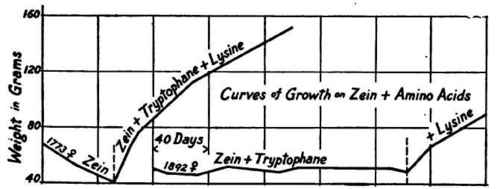 Showing the effect of adding tryptophane or tryptophane and lysine.