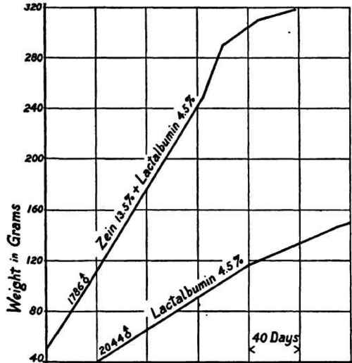 Showing the efficiency of lactalbumin as a supplement to zein.