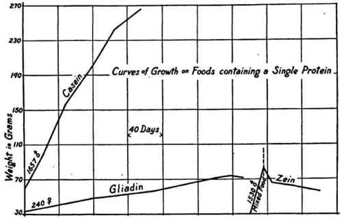 Showing typical curves of growth of rats on diets otherwise similar.