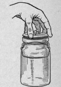 Courtesy of New York State College of Agriculture at Cornell University.