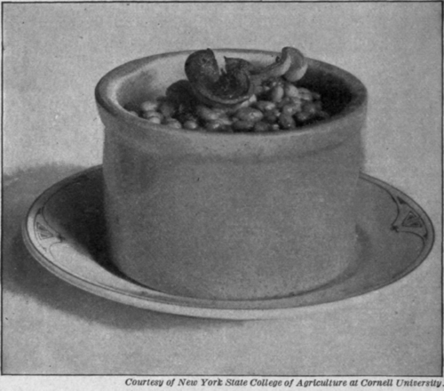 Fig. 104.   Baked beans. The beans are thoroughly cooked, but firm and whole.