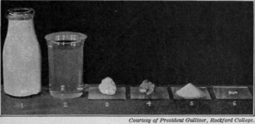 Fig. 19.   Composition of milk, 1, whole milk; 2, water; 3, fat; 4, protein; 5, carbohydrate; 6, mineral matter or ash.