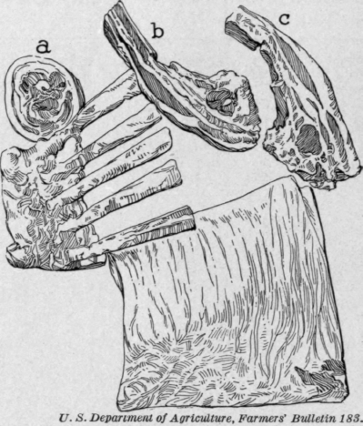Fig. 95.   Prime ribs of beef. a. Rolled roast. b. Folded roast, c. Standing roast.