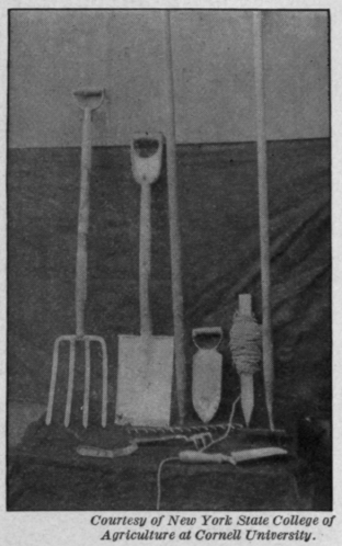 Fig. 98.   The tools Mrs. Allen and Marjorie found necessary for making and cultivating their home garden.