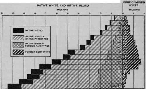 Population Of United States 1910 Age Distribution 145