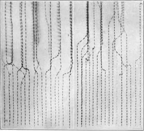 Sample eye reaction records, unretouched, reproduced full size from contact prints of the original plates.