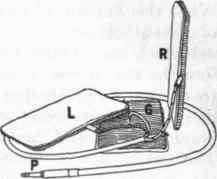 The body electrodes used in recording electrocardiograms during physical activity.