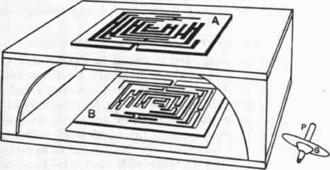 The maze tracing apparatus.