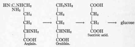 Arginin Nh2 CNHNH CH2CH2CH2 CHNH2 COOH 53
