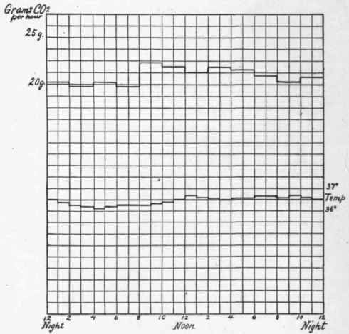 Carbon dioxid elimination and body temperature in fasting and complete muscular rest.