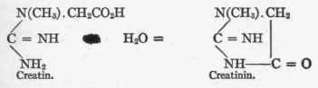 Creatin 58