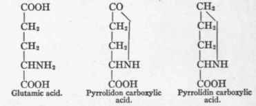 Glutamic Acid Hooc CH2 CH2 CHNH2 COOH 52