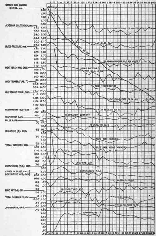 Metabolism Chart Of A Man Fasting 31 Days 7