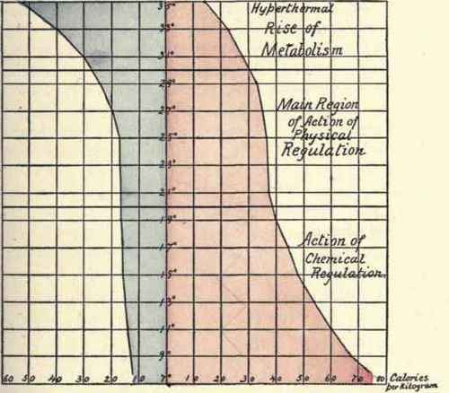 Rubner's chart showing the manner of heat loss at different room temperatures in the dog.
