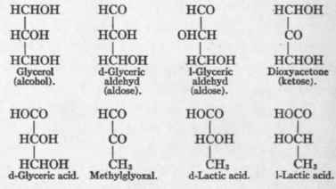 The Intermediary Metabolism Of Carbohydrate 65