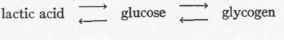 The Intermediary Metabolism Of Carbohydrate 66