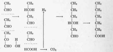The Intermediary Metabolism Of Carbohydrate 73