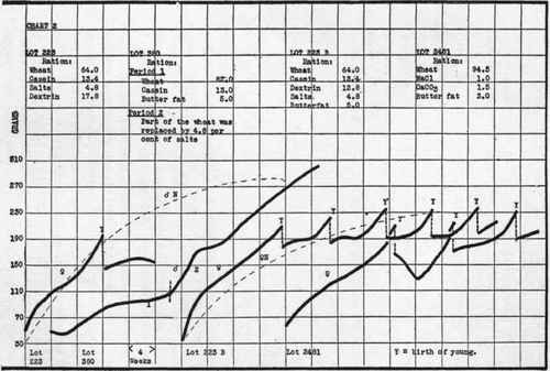 The Nature Of The Deficiencies Of The Wheat Kernel