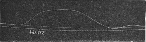 Curve drawn by a frog's gastrocnemius on the Pendulum Myograph; below is seen the tuning fork record of the time occupied by the contraction.