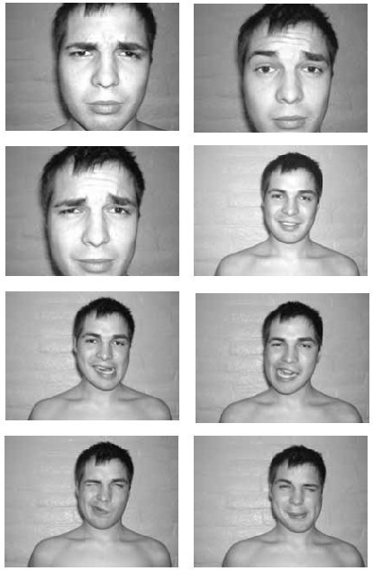 The Face 12