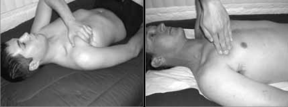 The Muscles In The Front Of The Neck 48