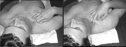 The Muscles In The Front Of The Neck 49