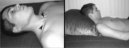 The Muscles In The Front Of The Neck 50